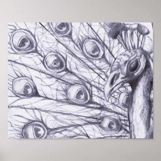 Beautiful peacock poster (Front)