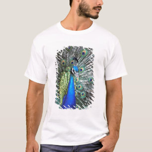Beautiful peacock spreading colourful feathers T-Shirt