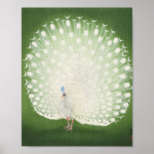 Beautiful Peacock Vintage Poster