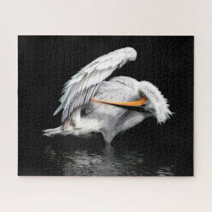 Beautiful Pelican, Jigsaw Puzzle