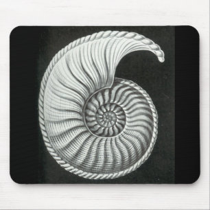 Beautiful pencil drawing of Amaltheus ammonite Mouse Mat