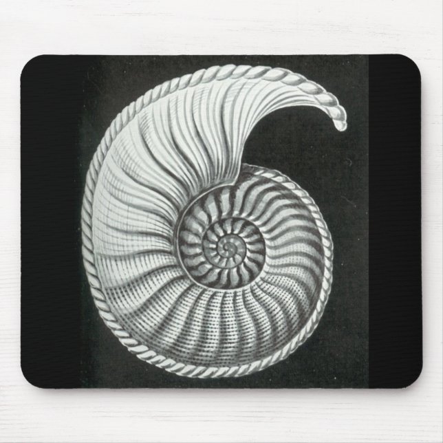 Beautiful pencil drawing of Amaltheus ammonite Mouse Mat (Front)