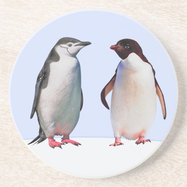 Beautiful Penguin Bird Couple on Light Blue Coaster (Front)