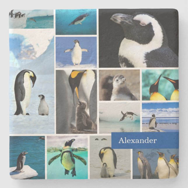 Beautiful Penguin Photo Collage with First Name Stone Coaster (Front)