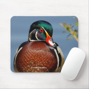 Beautiful Pensive Wood Duck in the Marsh Mouse Mat