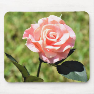 Beautiful Perfect Pink Rose Flower Mouse Mat