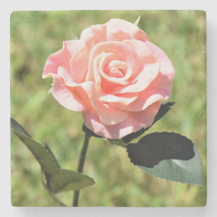 Beautiful Perfect Pink Rose Flower Stone Coaster