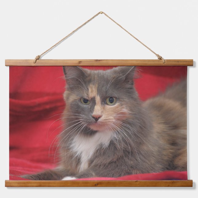 Beautiful Pet Cat Relaxing Against Red Background Hanging Tapestry (Front)