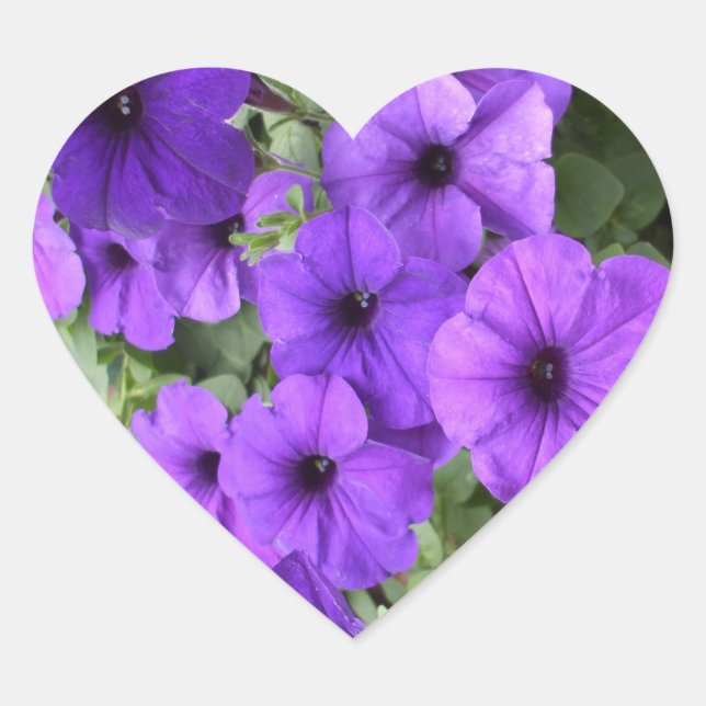 Beautiful Petunias Heart Sticker (Front)