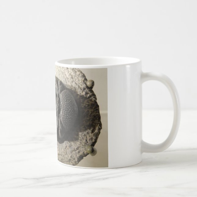Beautiful Phacops trilobite fossil photo Coffee Mug (Right)