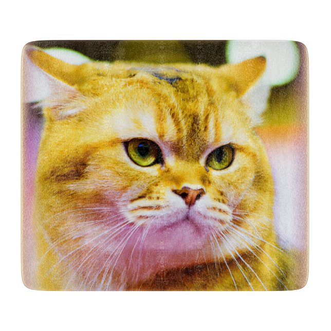 Beautiful Photo of a Cute Cat . Buy Now Cutting Board (Front)