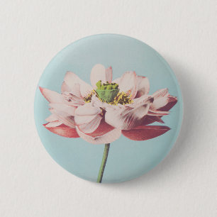Beautiful photomechanical prints of Lotus Flowers 6 Cm Round Badge