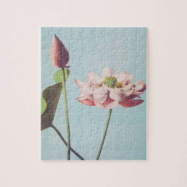 Beautiful photomechanical prints of Lotus Flowers Jigsaw Puzzle (Vertical)