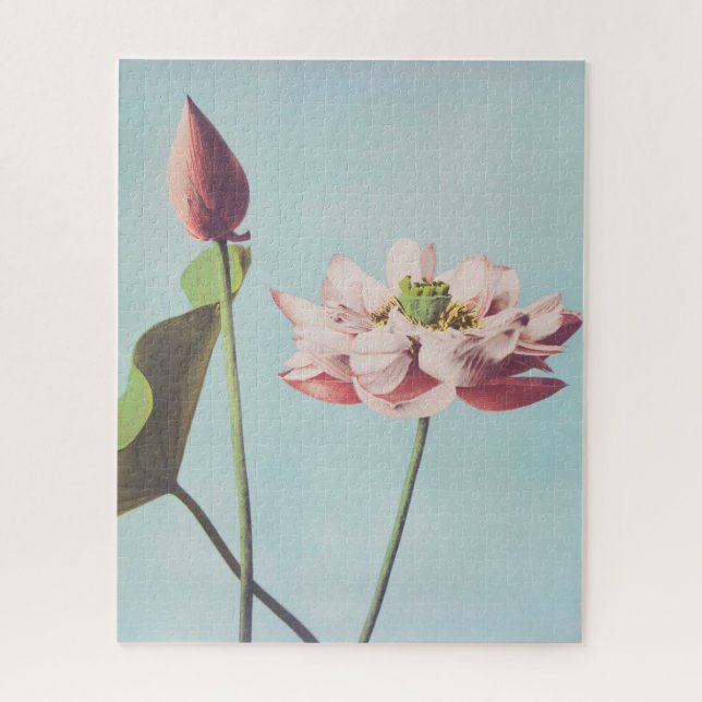 Beautiful photomechanical prints of Lotus Flowers Jigsaw Puzzle (Vertical)