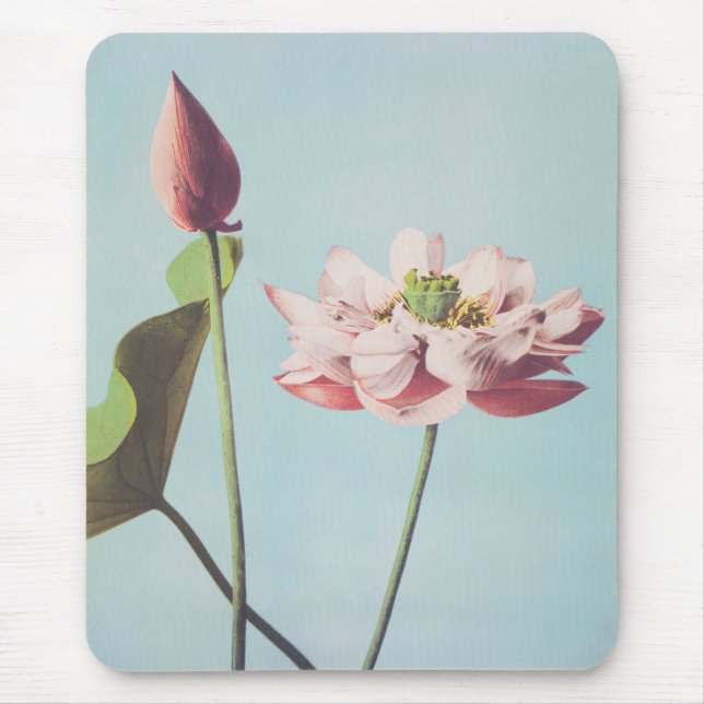 Beautiful photomechanical prints of Lotus Flowers Mouse Mat (Front)