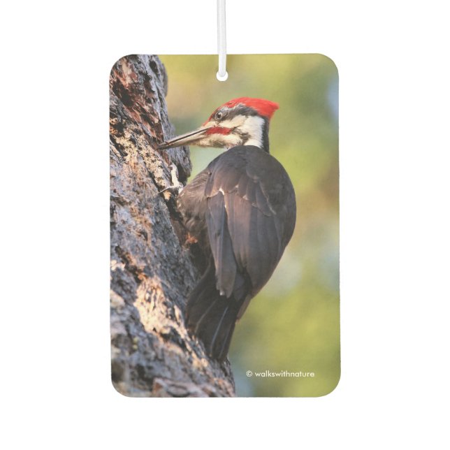 Beautiful Pileated Woodpecker on the Tree Car Air Freshener (Front)