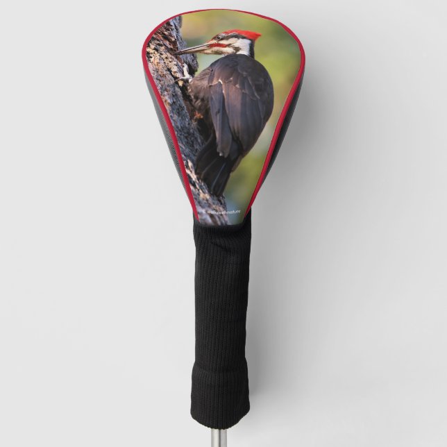 Beautiful Pileated Woodpecker on the Tree Golf Head Cover (Front)