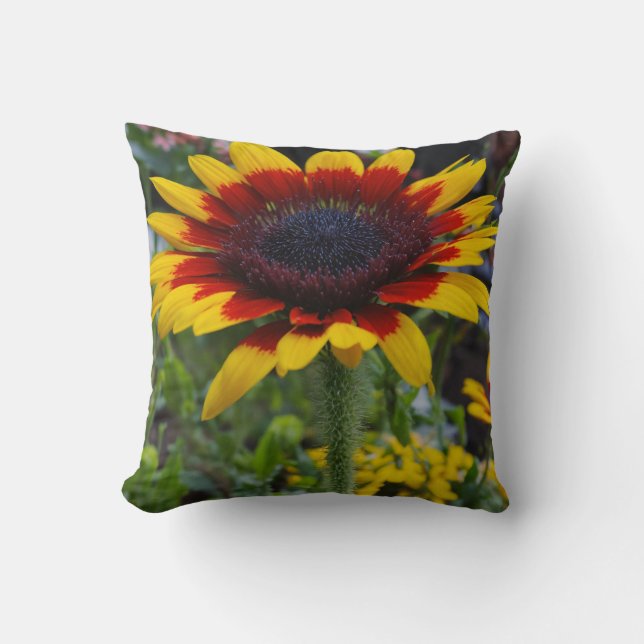 Beautiful pillow cover (Front)