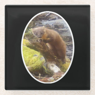 Beautiful Pine Marten Woodland Forest Scene Glass Coaster