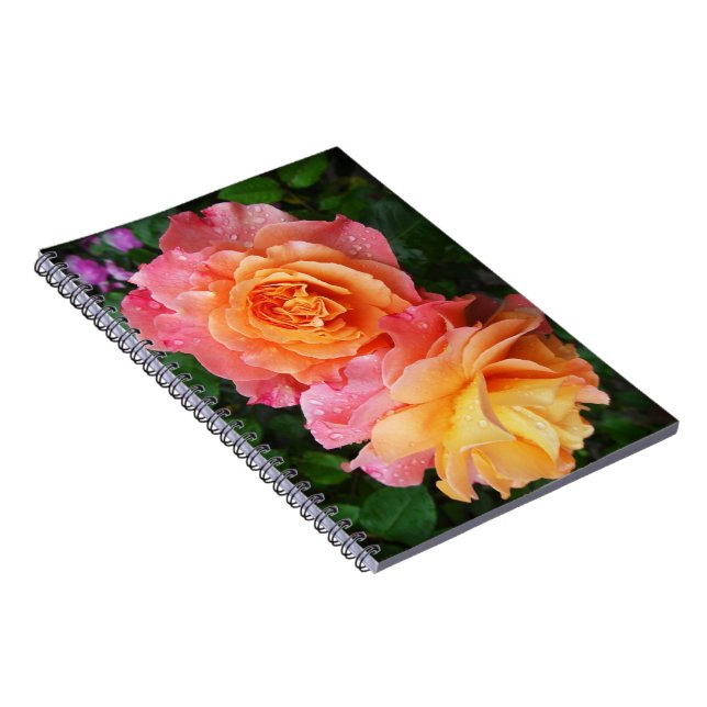 Beautiful pink and orannge rose photo notebook (Right Side)
