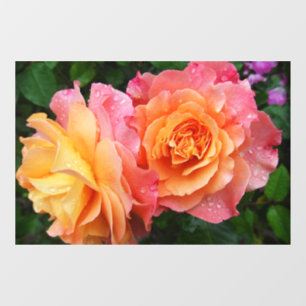 Beautiful pink and orannge rose photo window cling