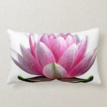 Beautiful Pink and White Lotus Flower