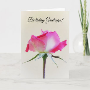 Beautiful Pink and White Rose Birthday Card