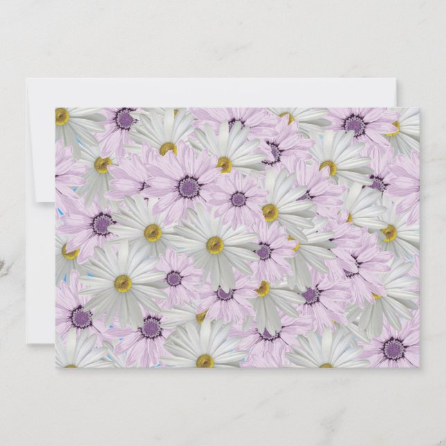 Beautiful Pink and Whtie Daisy Floral Greeting Card (Front)