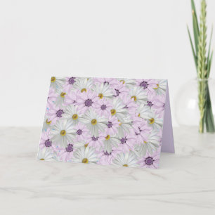 Beautiful Pink and Whtie Daisy Floral Greeting Card
