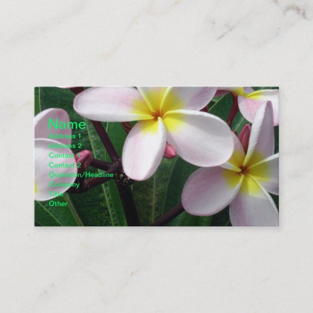 Beautiful Pink and Yellow Plumeria Business Card (Front)