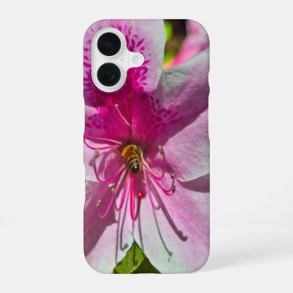 beautiful pink azalea flowers at Descanso Gardens  iPhone 16 Case