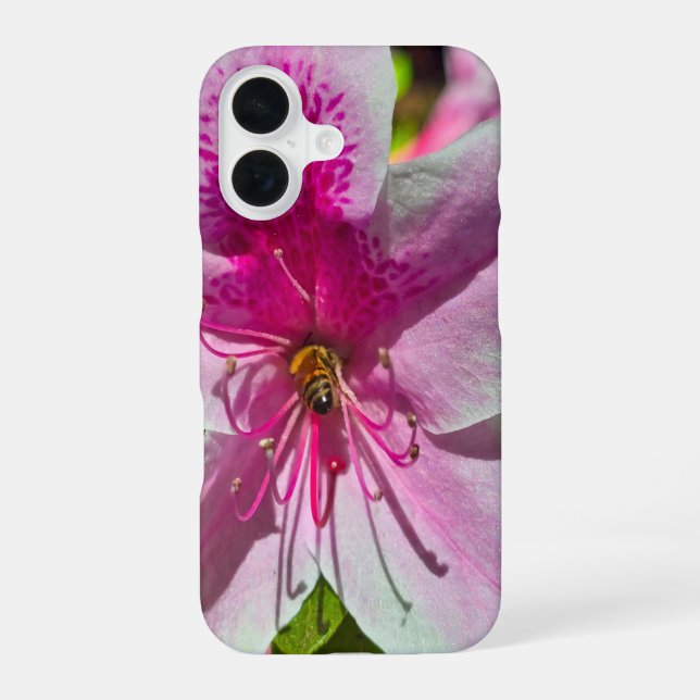 beautiful pink azalea flowers at Descanso Gardens  iPhone 16 Case (Back)