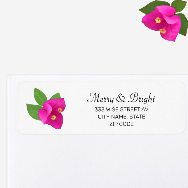 Beautiful Pink Bougainvillea Flower (Creator Uploaded)
