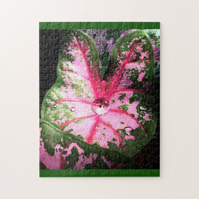 Beautiful pink caladium Puzzle (Vertical)