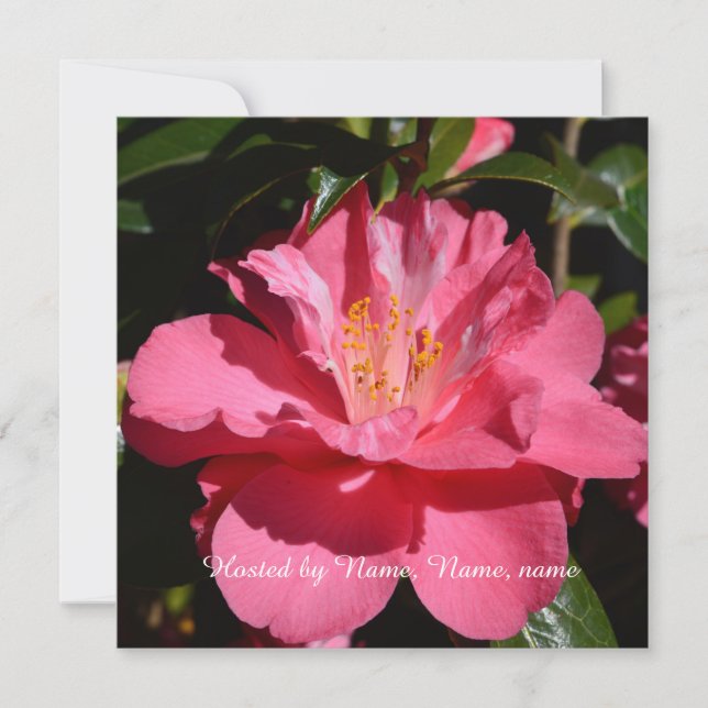 beautiful pink camellia flower all party invitation (Front)