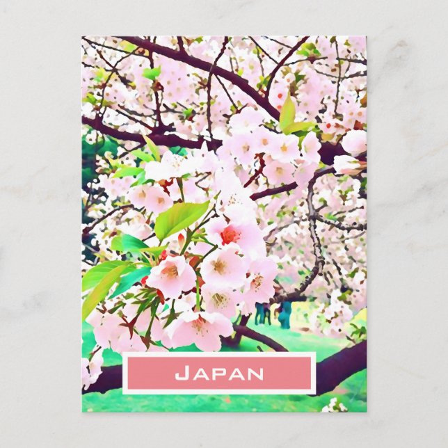 Beautiful pink cherry blossom Japan travel Postcard (Front)