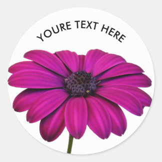 Beautiful Pink Daisy Classic Round Sticker