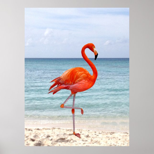 Beautiful Pink Flamingo Bird on the Beach Poster (Front)