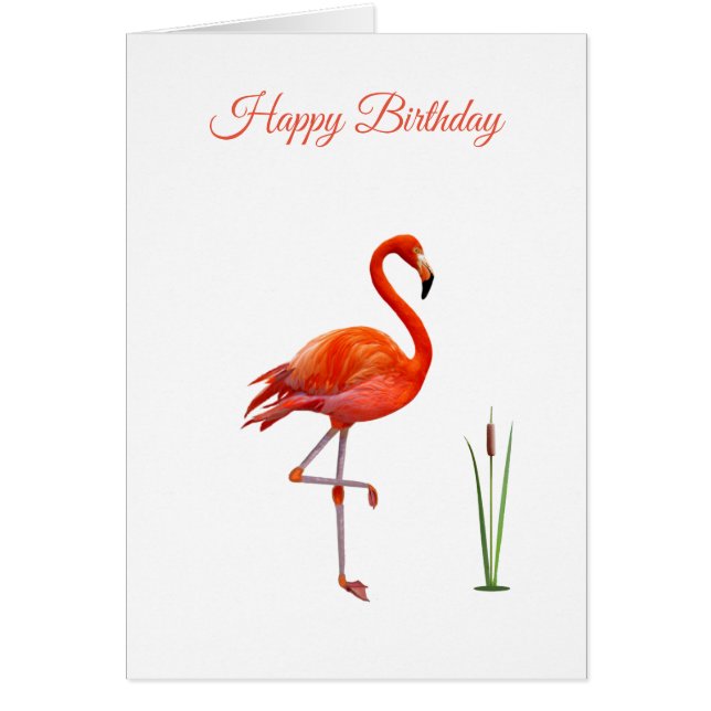 Beautiful Pink Flamingo Birthday Card (Front)