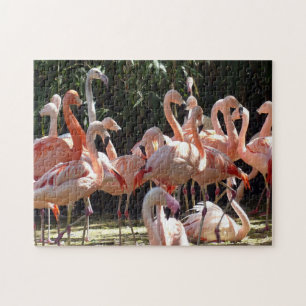 Beautiful Pink Flamingos Jigsaw Puzzle