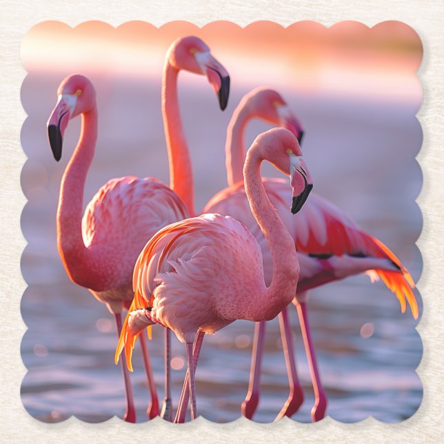 Beautiful Pink Flamingos Tropical Paper Coaster (Front)