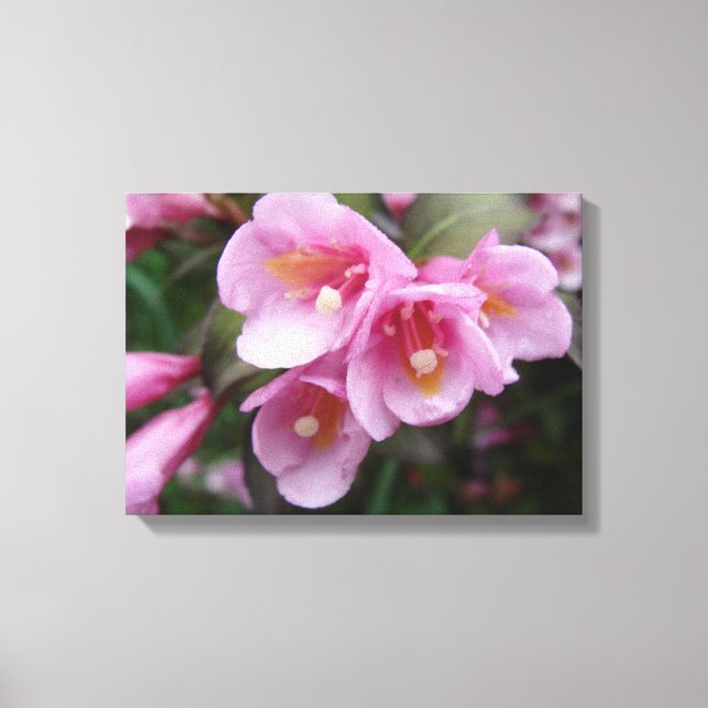 Beautiful Pink Floral Canvas Print (Front)