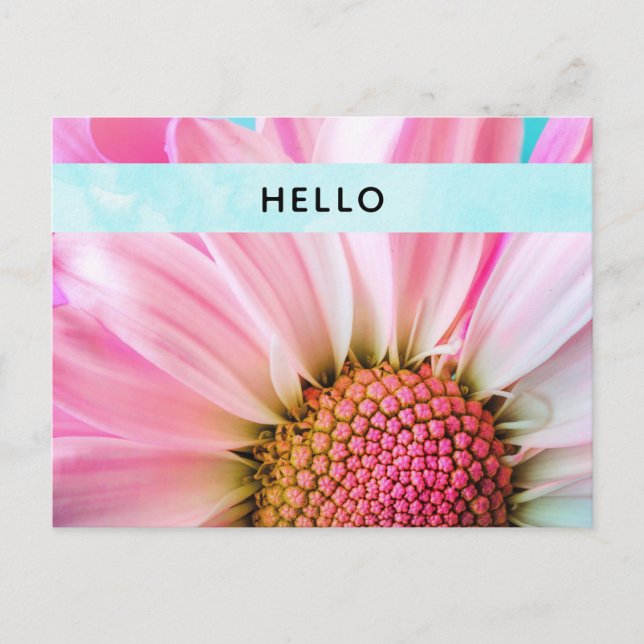 Beautiful Pink Flower Close Up Photo Hello Postcard (Front)