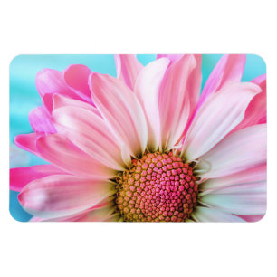 Beautiful Pink Flower Close Up Photo Magnet
