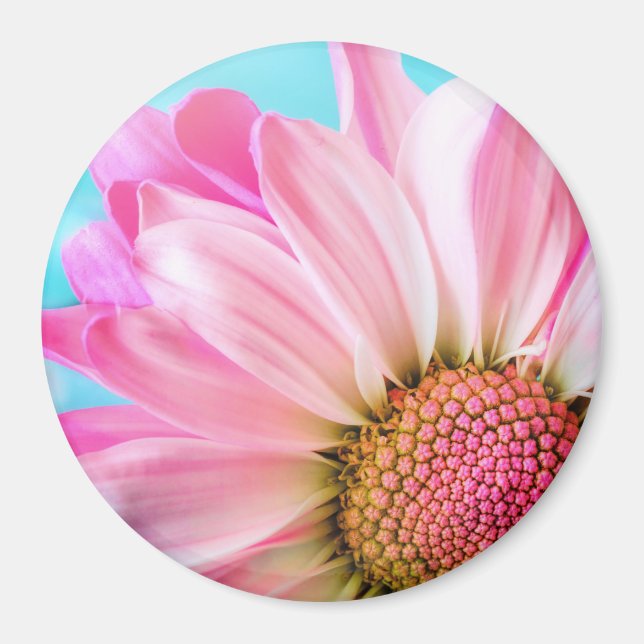 Beautiful Pink Flower Close Up Photo Magnet (Front)