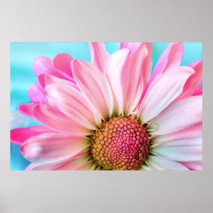 Beautiful Pink Flower Close Up Photo Poster