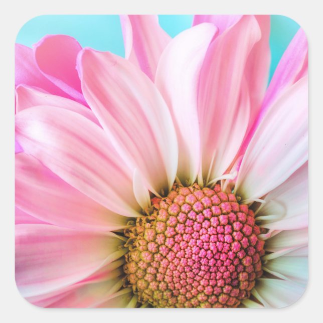 Beautiful Pink Flower Close Up Photo Square Sticker (Front)