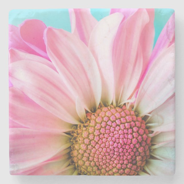 Beautiful Pink Flower Close Up Photo Stone Coaster (Front)