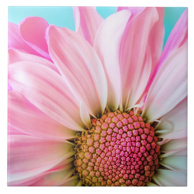 Beautiful Pink Flower Close Up Photo Tile (Front)