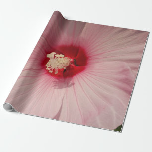 Beautiful Pink Flower Close Up PhotoWrapping Paper